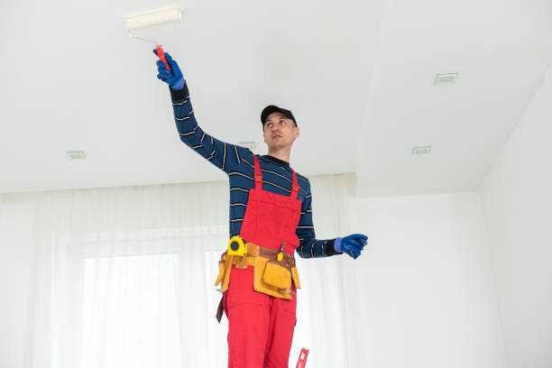 Best Commercial Painting  in Bountiful, UT