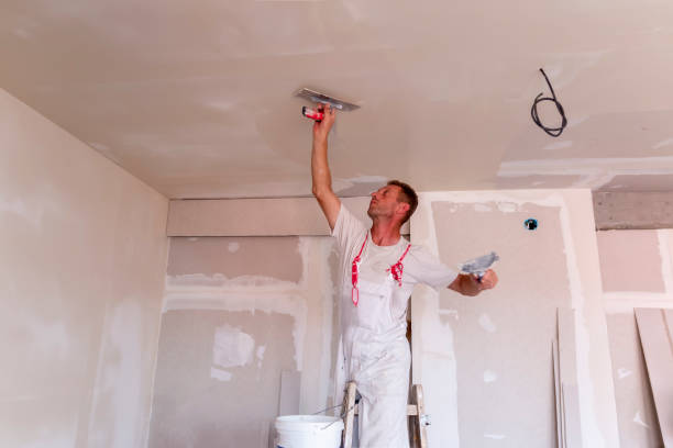 Best Drywall for New Construction  in Bountiful, UT